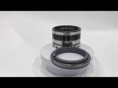 Τρίχωμα ζυγισμένα μεταλλικά σφραγίσματα John Crane 609 για αντλίες