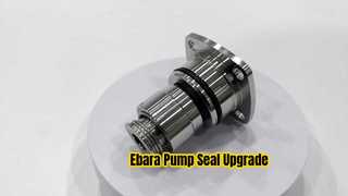 Ebara Pump Mechanical Seal Eb-b-16 Tc Silicon Seal