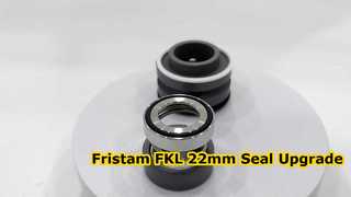 Δείτε γιατί επιλέξτε SIC SIC FKM Mechanical Seal 22MM Κατάλληλο για αντλία Fristam FKL