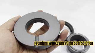 Μια πιο προσεκτική ματιά: Mechanical Seal Dual Face AES W13U SiC/SiC, FKM For Waukesha Pump